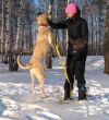 Уменьшенная картинка