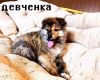 Уменьшенная картинка