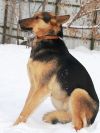 Уменьшенная картинка