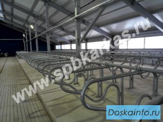 Стойловое оборудование ферм крс привязь безпривязь
