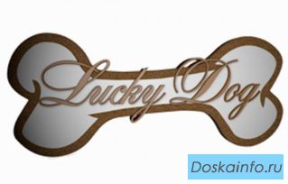 Интернет магазин Одежда для собак. Lucky Dog.