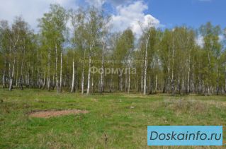 Участок 15 соток с. Константиновское, свет, газ, лес