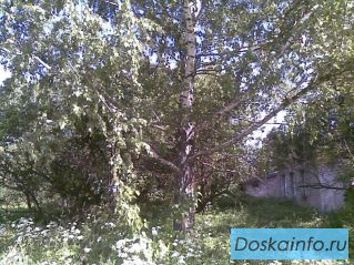 Продажа дома 200 м2 на лесном участке 36 сот на берегу реки