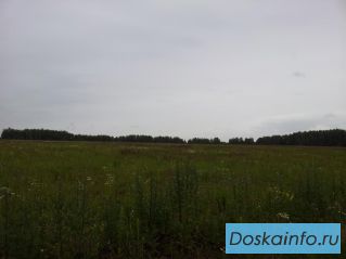 Продажа участка 7,35 га на границе с Московской областью