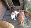 Уменьшенная картинка