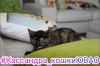 Уменьшенная картинка