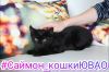 Уменьшенная картинка