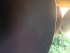 Уменьшенная картинка