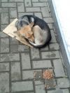 Уменьшенная картинка