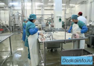 Кишечное сырьё можно и нужно перерабатывать