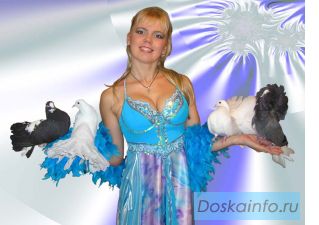 Организация праздников.детские праздники.цирк зверей.