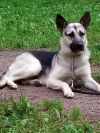 Уменьшенная картинка