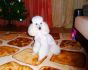 Уменьшенная картинка