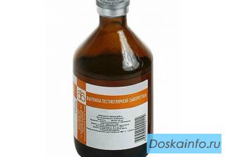 Конский возбудитель