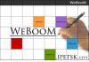 WeBooM - разработка и поисковая оптимизация сайтов.