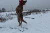 Уменьшенная картинка