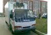 ISUZU ELF (рефрижератор)