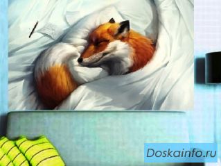 Приводим квартиру в порядок. Тольятти. 