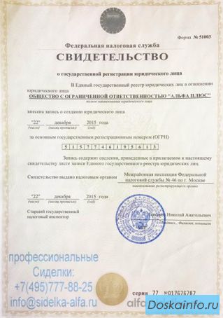 Сиделка Проффесиональная