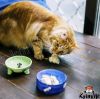 Натуральные корма – правильное питание ваших любимцев!