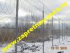 Уменьшенная картинка
