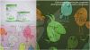 Уменьшенная картинка