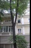 Уменьшенная картинка