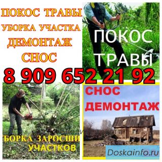 Покос травы, поросли. Уборка участка. Снос домов, строений. Садовые работы