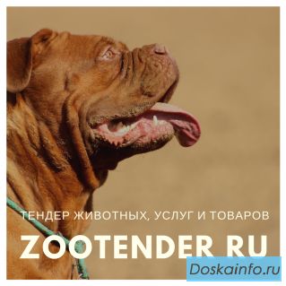 ЗООтендер – тендер покупки / продажи питомцев