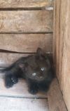 Уменьшенная картинка