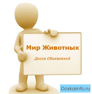 Мир Животных Доска Объявлений для  любителей услуги