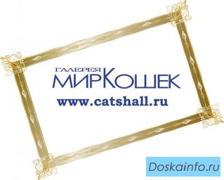 Галерея мир кошек