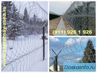 Монтаж заграждений Акация , Репейник , Шиповник в Санкт-Петербурге