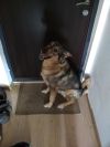 Уменьшенная картинка