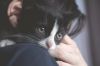 Замечательная девочка котенок