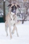 Уменьшенная картинка