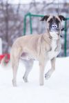 Уменьшенная картинка