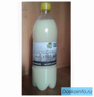 Продам барсучий жир