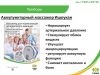 Уменьшенная картинка