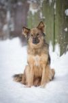 Уменьшенная картинка