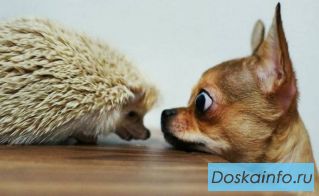 Заказать чертеж  во Владимире 