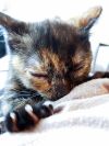 Уменьшенная картинка