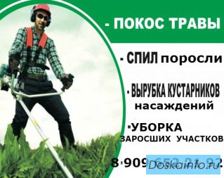 ПОКОС ТРАВЫ и УБОРКА ЗАРОСШИХ УЧАСТКОВ
