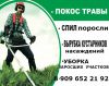 Уменьшенная картинка
