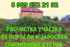 Уменьшенная картинка