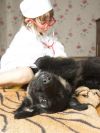 Уменьшенная картинка