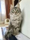 Уменьшенная картинка