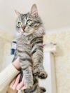 Уменьшенная картинка