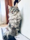 Уменьшенная картинка
