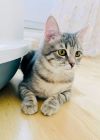 Уменьшенная картинка